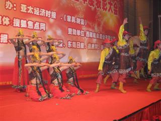 2007广东家具行业年会暨年度表彰大会